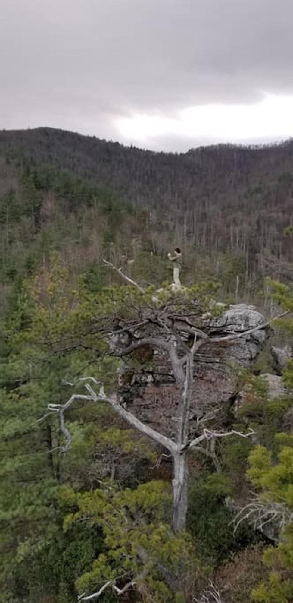 Bark House Heart Of Linville Falls Wspa Newland Exterior photo